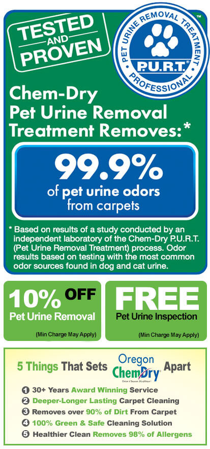 Pet Urine Removal Portland